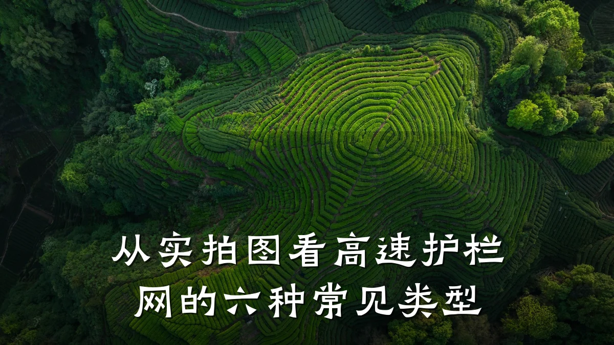 从实拍图看高速护栏网的六种常见类型