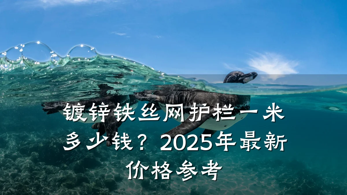 镀锌铁丝网护栏一米多少钱?2025年最新价格参考