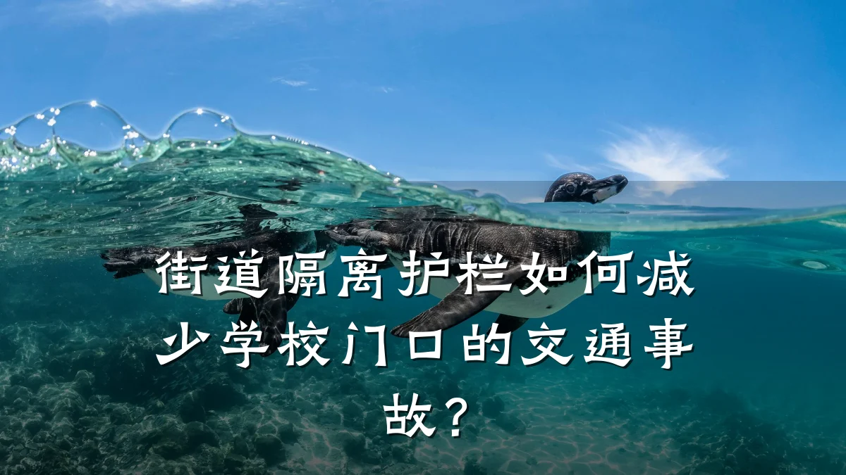 街道隔离护栏如何减少学校门口的交通事故？