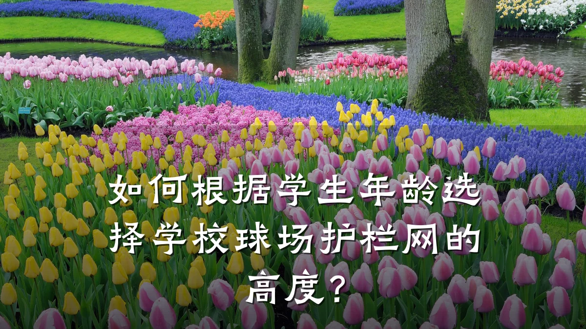 如何根据学生年龄选择学校球场护栏网的高度?
