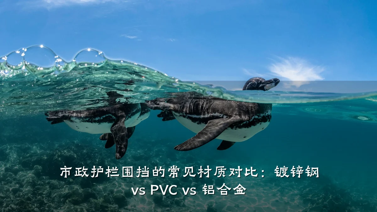 市政护栏围挡的常见材质对比：镀锌钢 vs PVC vs 铝合金