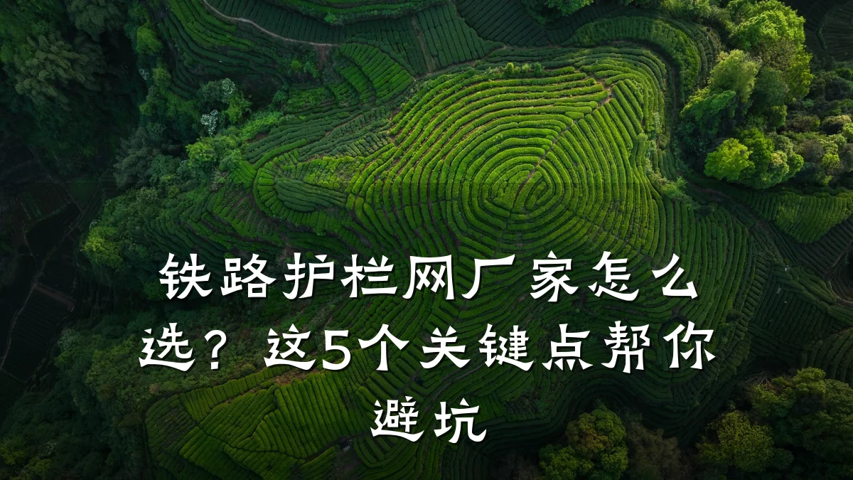 铁路护栏网厂家怎么选?这5个关键点帮你避坑