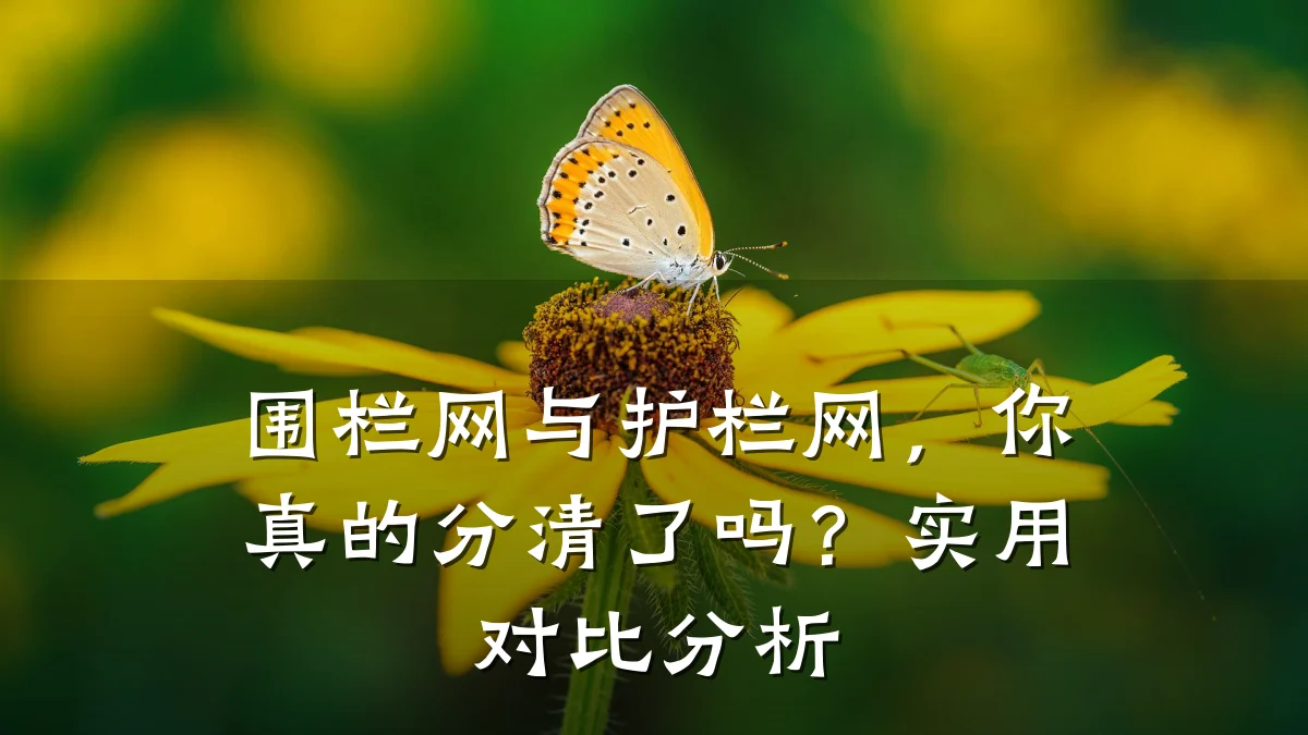 围栏网与护栏网，你真的分清了吗？实用对比分析