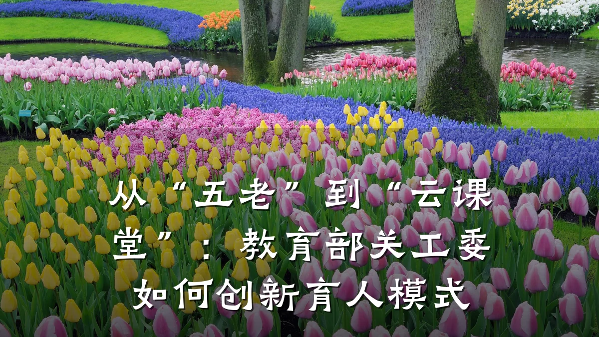 从“五老”到“云课堂”：教育部关工委如何创新育人模式