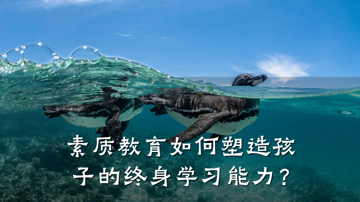 素质教育如何塑造孩子的终身学习能力?