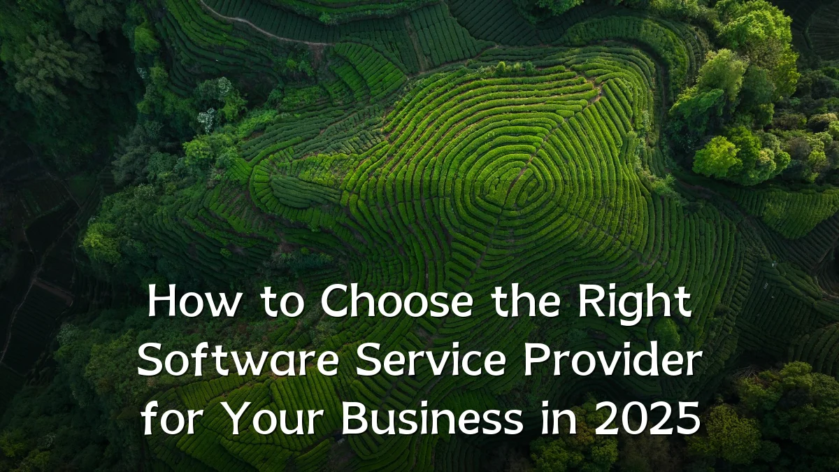 How to Choose the Right Software Service Provider for Your Business in 2025